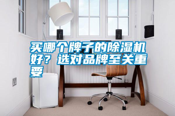 買哪個(gè)牌子的除濕機(jī)好？選對(duì)品牌至關(guān)重要