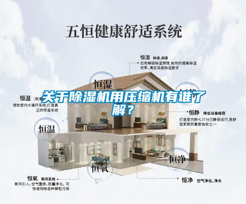 關(guān)于除濕機(jī)用壓縮機(jī)有誰(shuí)了解？