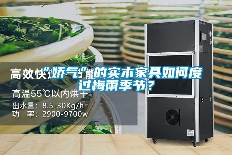 “嬌氣”的實(shí)木家具如何度過梅雨季節(jié)？