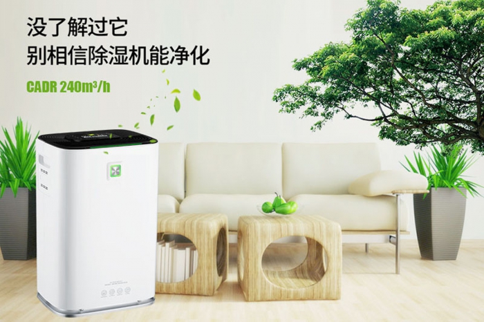 一到回南天狗狗就感冒+皮膚病，怎么辦？