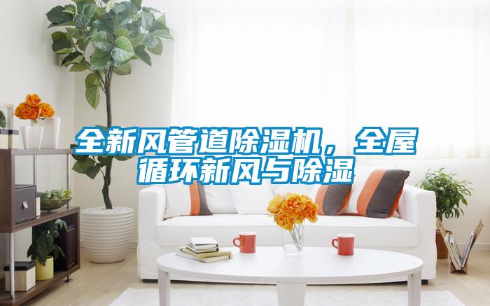 全新風(fēng)管道除濕機，全屋循環(huán)新風(fēng)與除濕