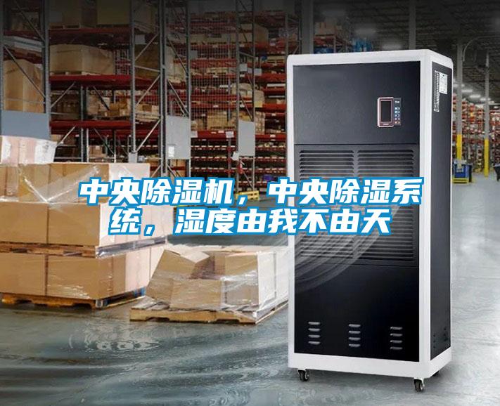 中央除濕機(jī)，中央除濕系統(tǒng)，濕度由我不由天