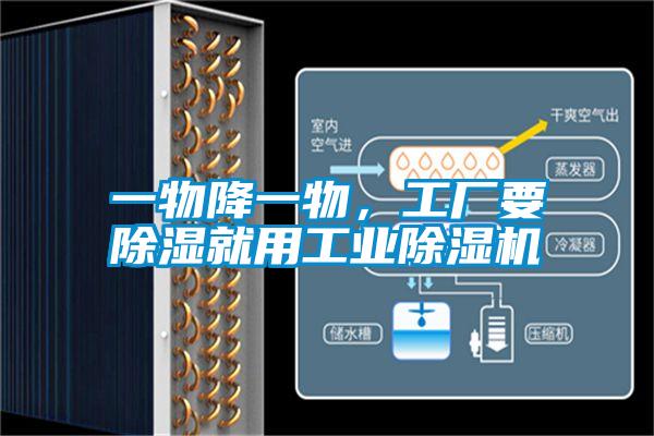 一物降一物，工廠要除濕就用工業(yè)除濕機