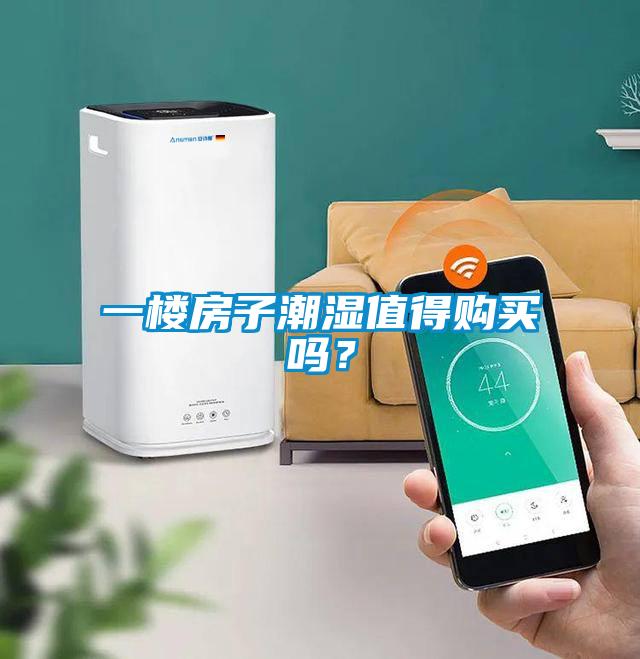 一樓房子潮濕值得購買嗎？
