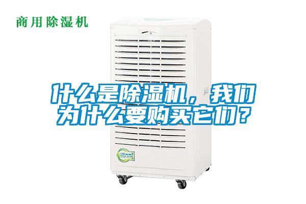 什么是除濕機(jī)，我們?yōu)槭裁匆徺I它們？
