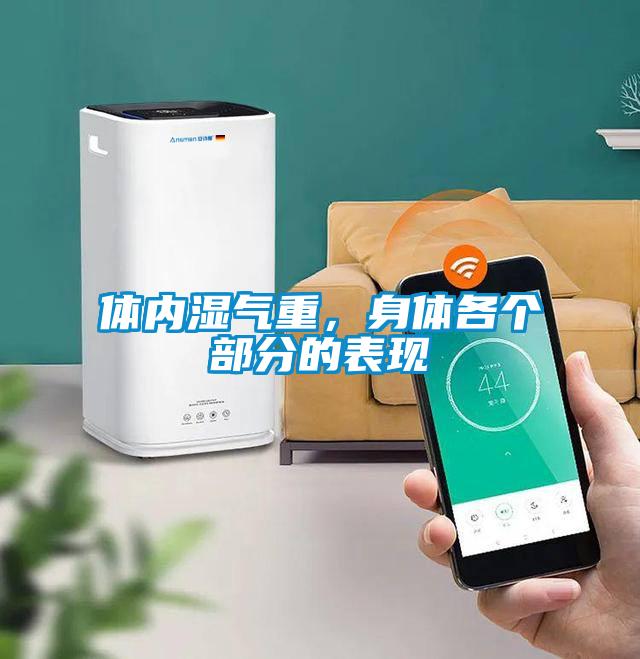 體內(nèi)濕氣重，身體各個部分的表現(xiàn)