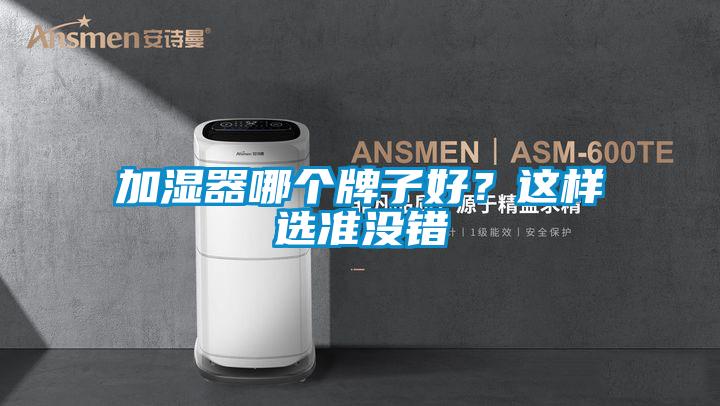 加濕器哪個(gè)牌子好？這樣選準(zhǔn)沒錯(cuò)