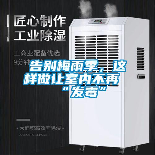 告別梅雨季，這樣做讓室內不再“發(fā)霉”