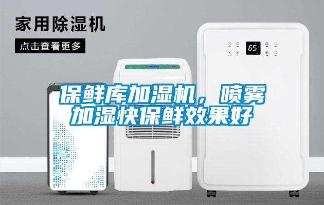 保鮮庫(kù)加濕機(jī)，噴霧加濕快保鮮效果好