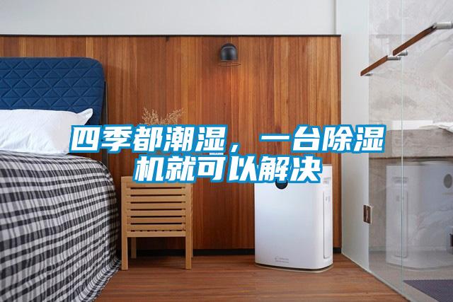 四季都潮濕，一臺(tái)除濕機(jī)就可以解決