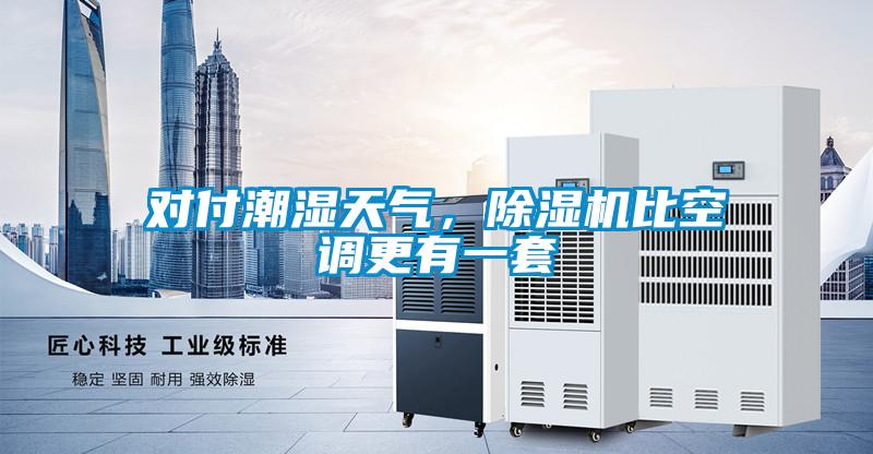 對付潮濕天氣，除濕機(jī)比空調(diào)更有一套