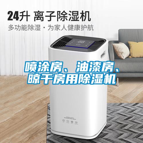 噴涂房、油漆房、晾干房用除濕機