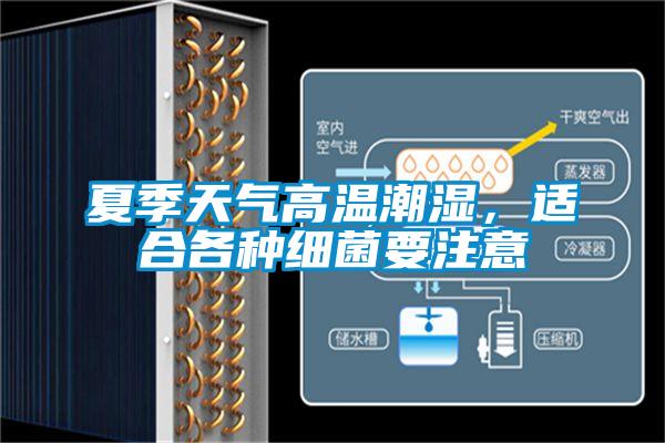 夏季天氣高溫潮濕，適合各種細菌要注意