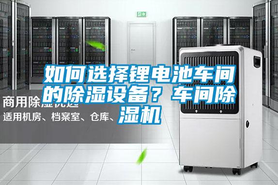 如何選擇鋰電池車間的除濕設(shè)備？車間除濕機(jī)