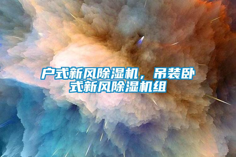 戶式新風(fēng)除濕機(jī)，吊裝臥式新風(fēng)除濕機(jī)組