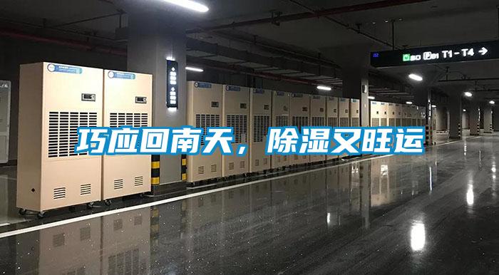 巧應(yīng)回南天，除濕又旺運(yùn)