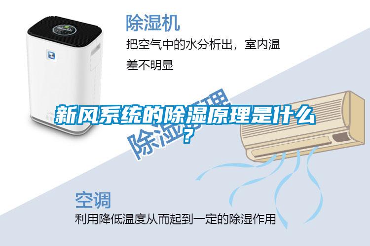 新風(fēng)系統(tǒng)的除濕原理是什么？