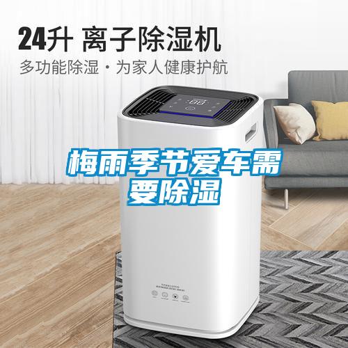 濕氣太重，大不如前！安詩(shī)曼除濕機(jī)還你健康好身體！