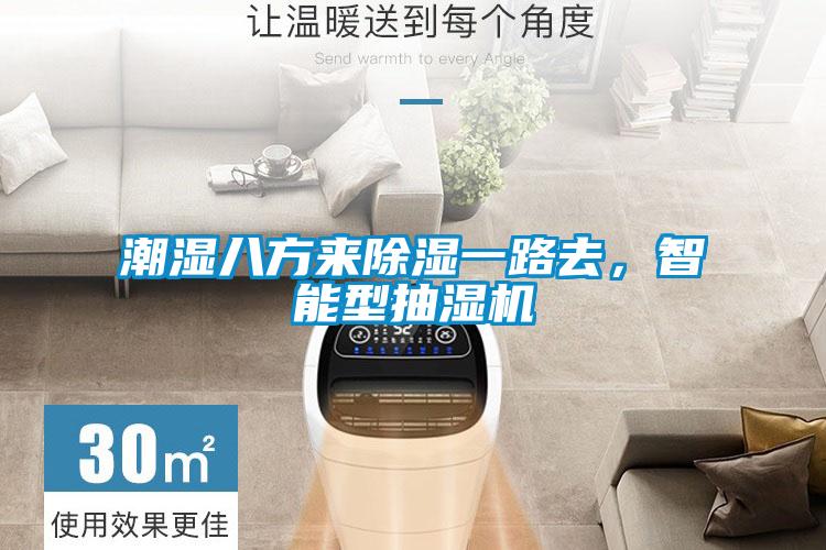 智能觸控除濕機，智能除濕無須等待