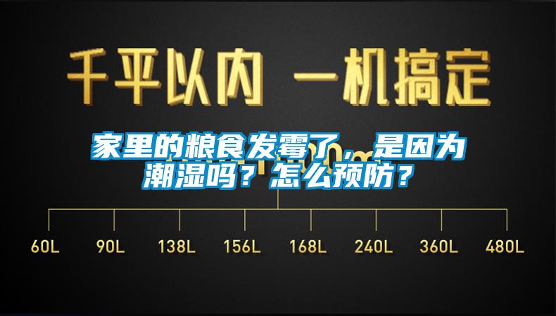 家里的糧食發(fā)霉了，是因為潮濕嗎？怎么預(yù)防？