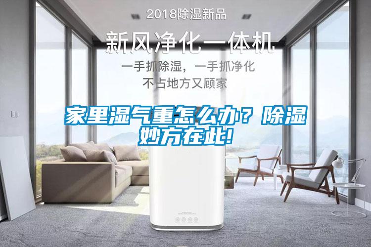 家里濕氣重怎么辦？除濕妙方在此!