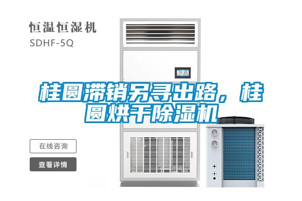 桂圓滯銷另尋出路，桂圓烘干除濕機(jī)
