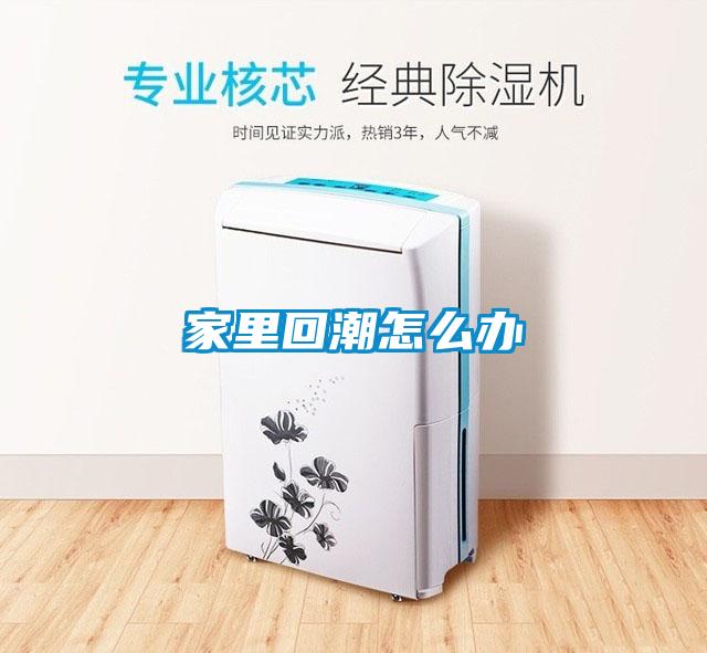 家里回潮怎么辦
