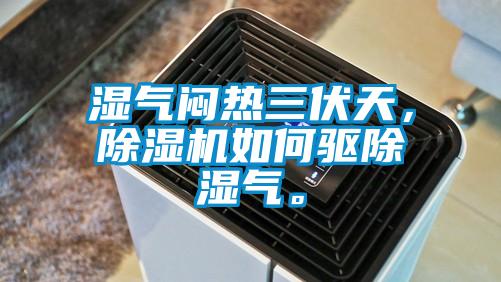 濕氣悶熱三伏天，除濕機(jī)如何驅(qū)除濕氣。