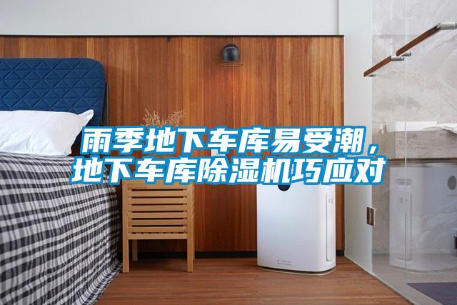 雨季地下車庫(kù)易受潮，地下車庫(kù)除濕機(jī)巧應(yīng)對(duì)