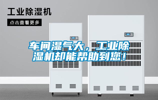 車間濕氣大，工業(yè)除濕機卻能幫助到您！