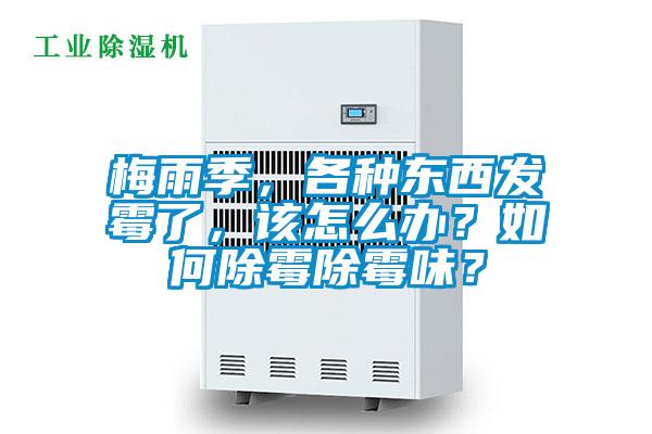 梅雨季，各種東西發(fā)霉了，該怎么辦？如何除霉除霉味？