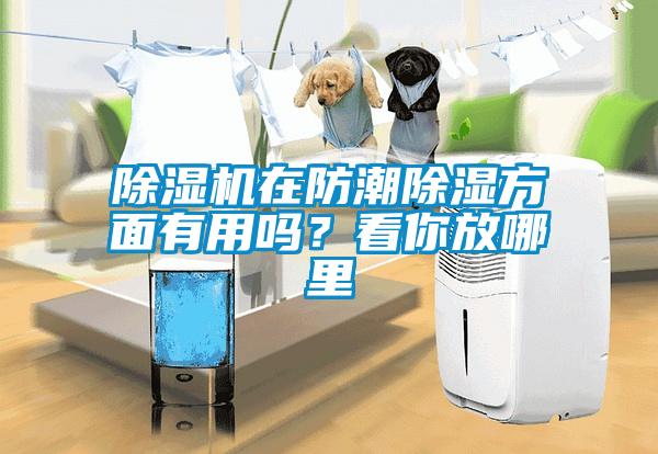 除濕機在防潮除濕方面有用嗎？看你放哪里