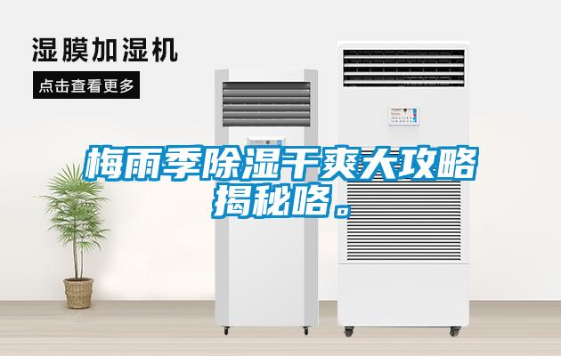梅雨季除濕干爽大攻略揭秘咯。