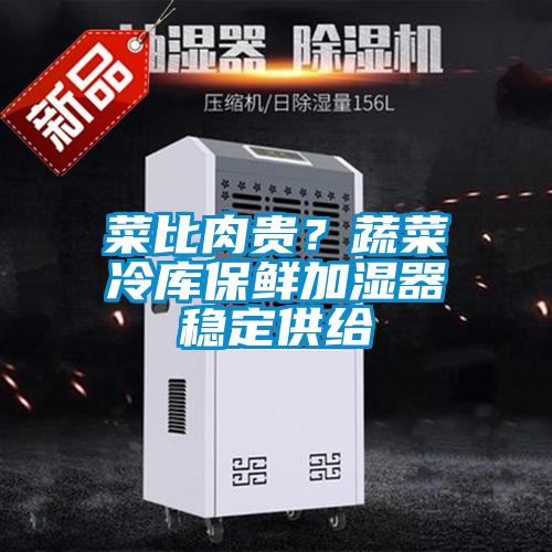 菜比肉貴？蔬菜冷庫(kù)保鮮加濕器穩(wěn)定供給