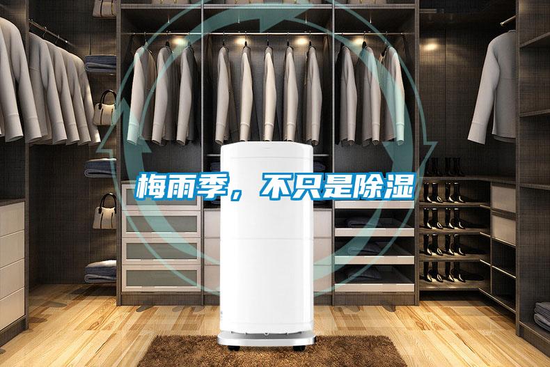 梅雨季，不只是除濕