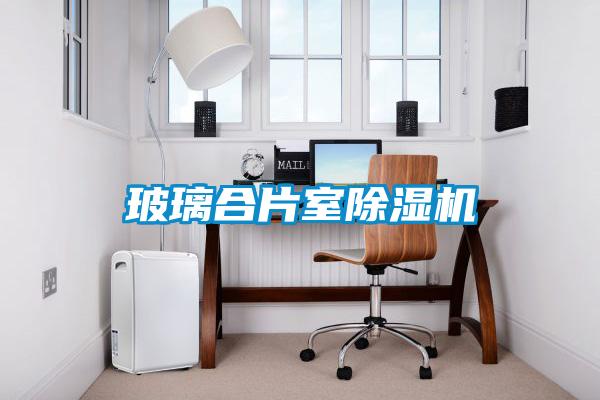 玻璃合片室除濕機