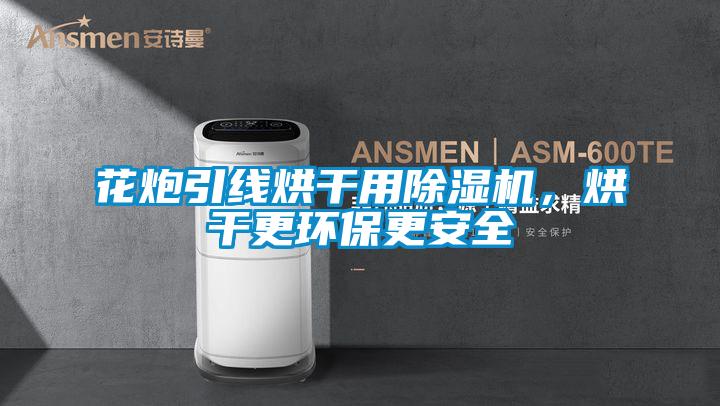 花炮引線烘干用除濕機，烘干更環(huán)保更安全