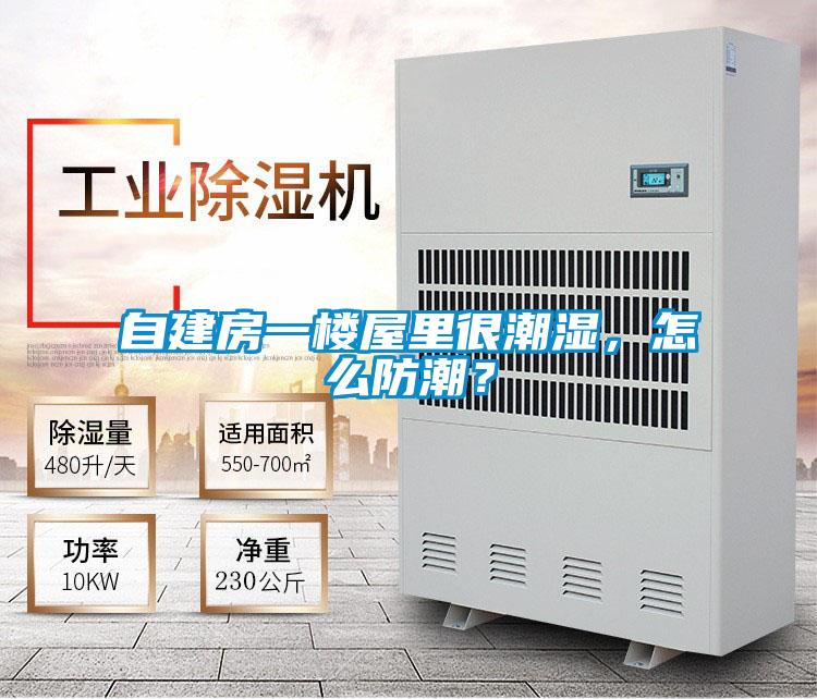自建房一樓屋里很潮濕，怎么防潮？