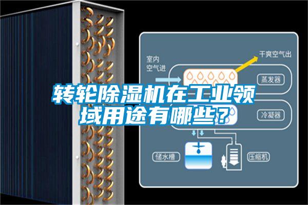 轉(zhuǎn)輪除濕機在工業(yè)領(lǐng)域用途有哪些？