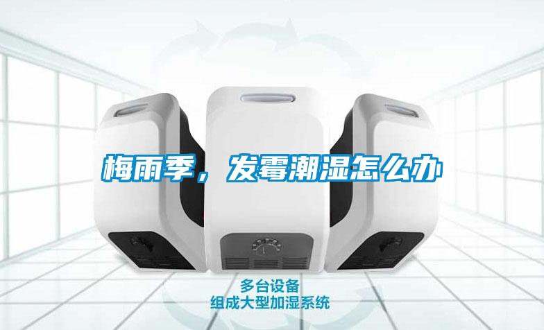 梅雨季，發(fā)霉潮濕怎么辦