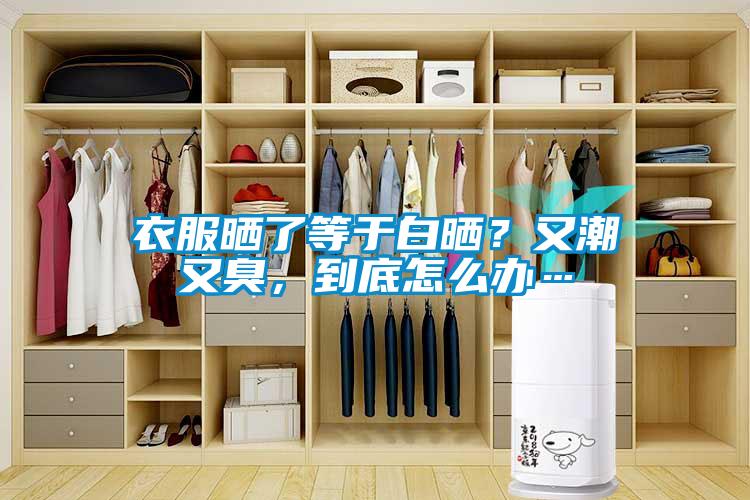 衣服曬了等于白曬？又潮又臭，到底怎么辦…