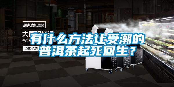 有什么方法讓受潮的普洱茶起死回生？