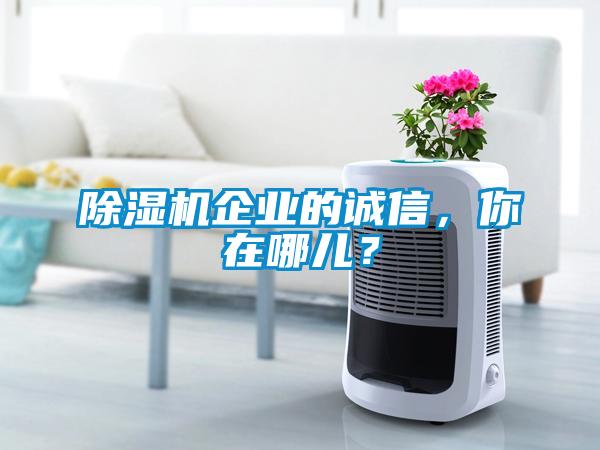 除濕機(jī)企業(yè)的誠(chéng)信，你在哪兒？