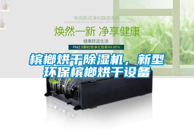 檳榔烘干除濕機(jī)，新型環(huán)保檳榔烘干設(shè)備