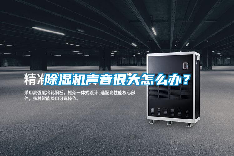 除濕機聲音很大怎么辦？