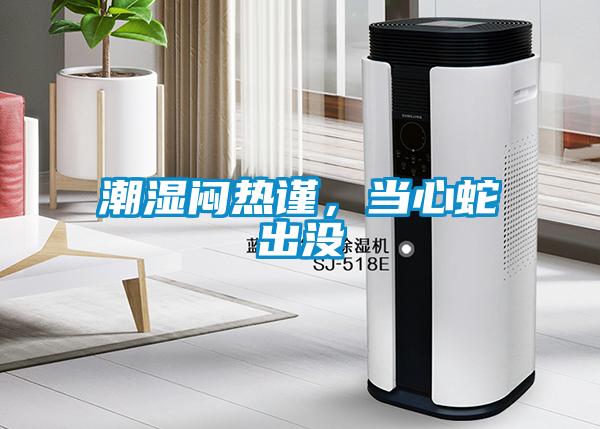 潮濕悶熱謹，當心蛇出沒