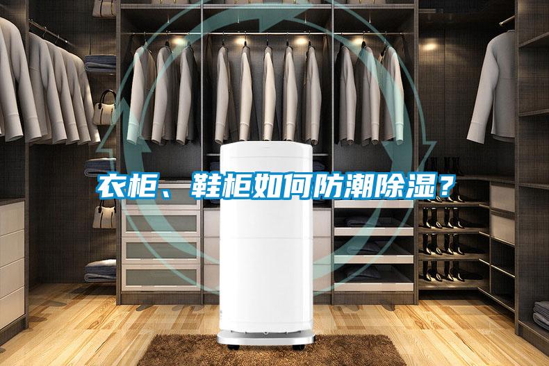 衣柜、鞋柜如何防潮除濕？
