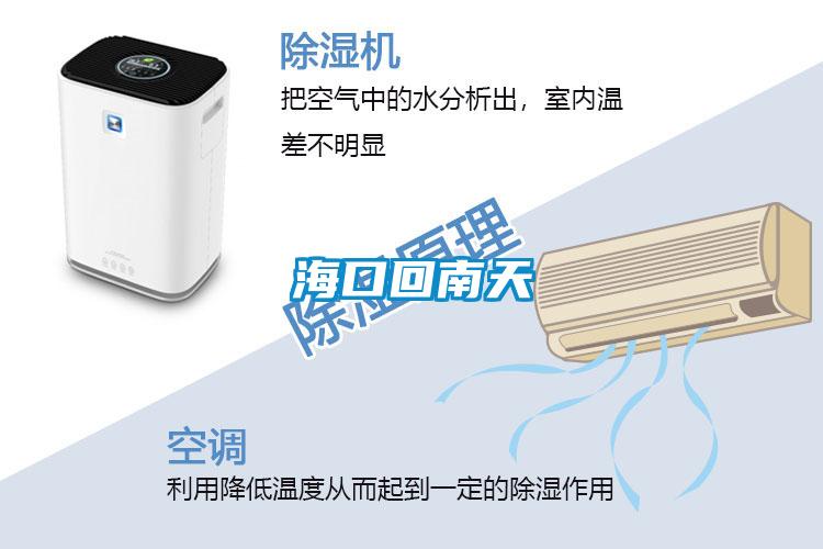 ?？诨啬咸?/></p>
						    <p style=