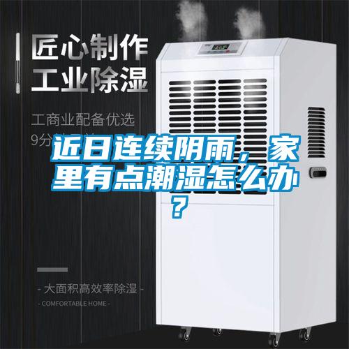近日連續(xù)陰雨，家里有點潮濕怎么辦？