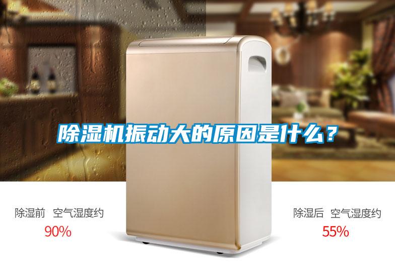 除濕機(jī)振動(dòng)大的原因是什么?